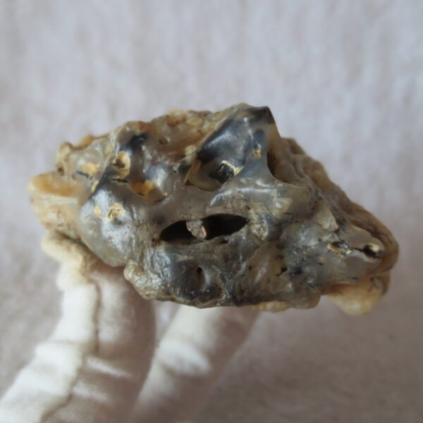 natural gobi skeleton stone (ji gu stone), boxwork ventifact, desert viewing stone (u25）