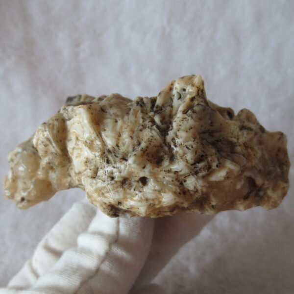 natural gobi skeleton stone (ji gu stone), boxwork ventifact, desert viewing stone (u25）