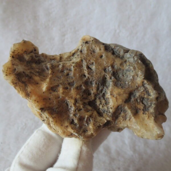 natural gobi skeleton stone (ji gu stone), boxwork ventifact, desert viewing stone (u25）