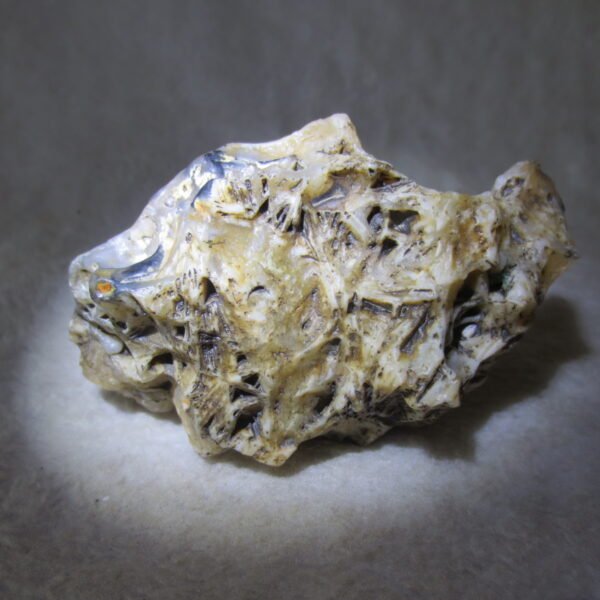 natural gobi skeleton stone (ji gu stone), boxwork ventifact, desert viewing stone (u25）