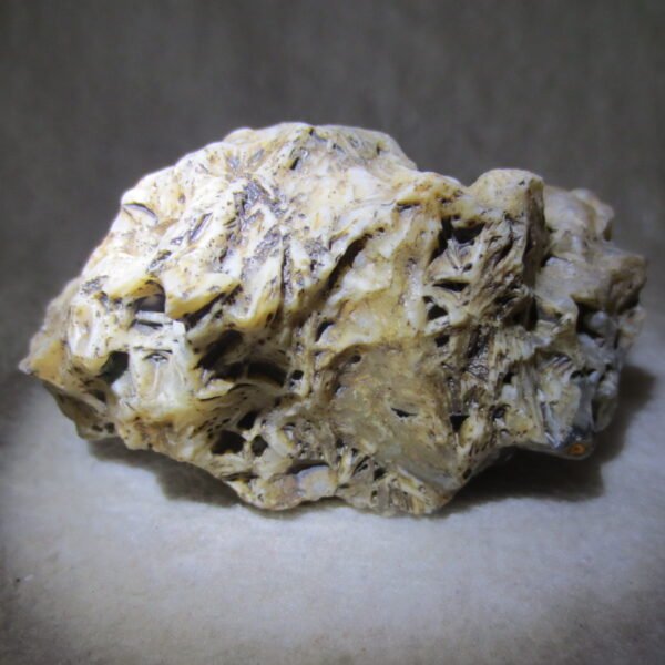 natural gobi skeleton stone (ji gu stone), boxwork ventifact, desert viewing stone (u25）