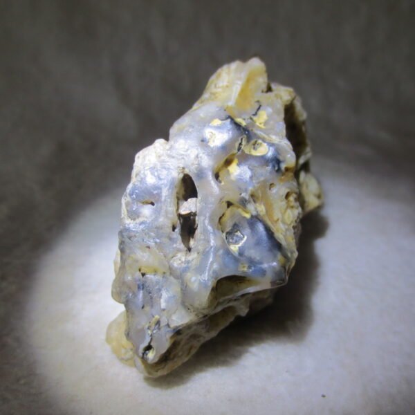 natural gobi skeleton stone (ji gu stone), boxwork ventifact, desert viewing stone (u25）