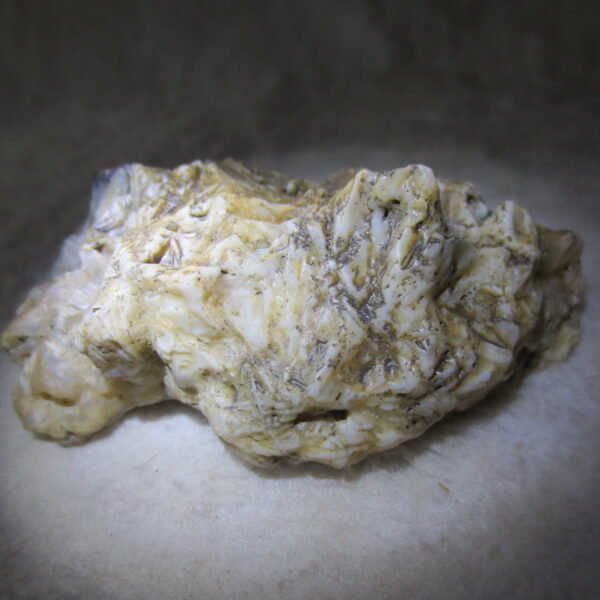 natural gobi skeleton stone (ji gu stone), boxwork ventifact, desert viewing stone (u25）