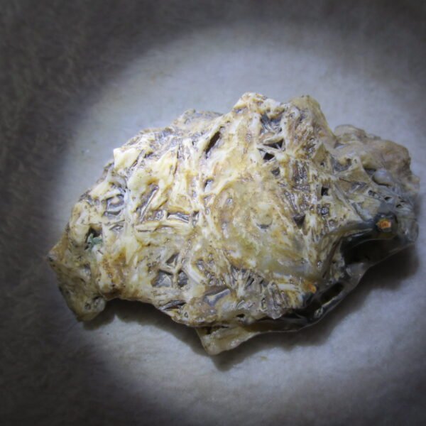 natural gobi skeleton stone (ji gu stone), boxwork ventifact, desert viewing stone (u25）