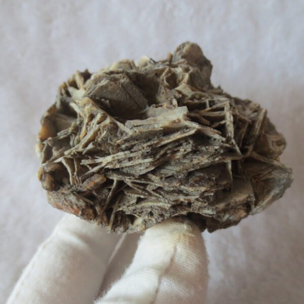 natural gobi skeleton stone (ji gu stone), boxwork ventifact, desert viewing stone (u25） (copy)