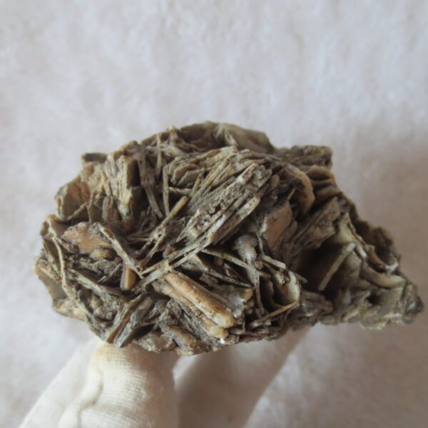 natural gobi skeleton stone (ji gu stone), boxwork ventifact, desert viewing stone (u25） (copy)