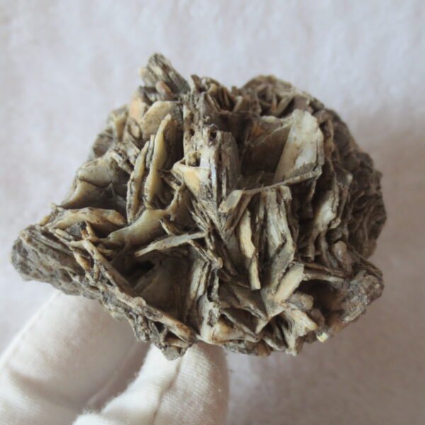 natural gobi skeleton stone (ji gu stone), boxwork ventifact, desert viewing stone (u25） (copy)