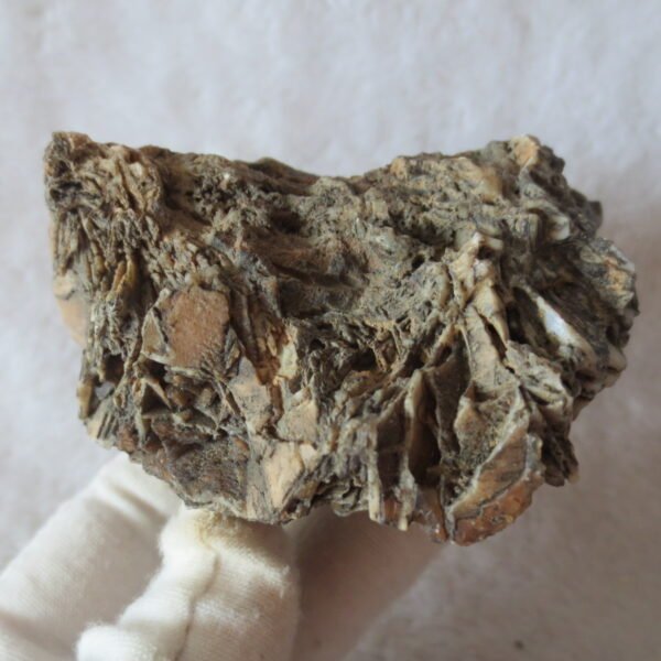 natural gobi skeleton stone (ji gu stone), boxwork ventifact, desert viewing stone (u25） (copy)