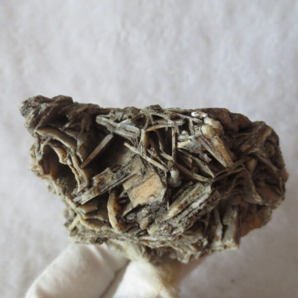 natural gobi skeleton stone (ji gu stone), boxwork ventifact, desert viewing stone (u25） (copy)