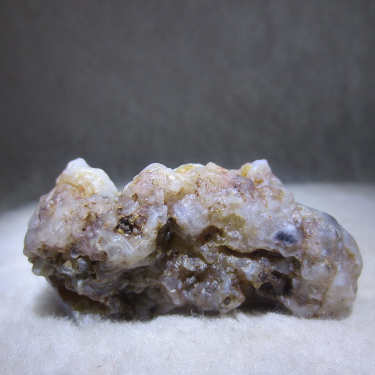 natural flower gobi agate raw desert rock mineral specimen (k113)