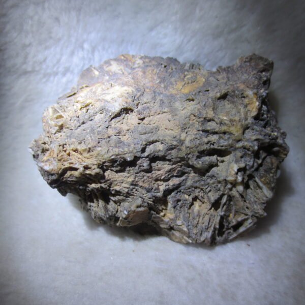 natural gobi skeleton stone (ji gu stone), boxwork ventifact, desert viewing stone (u25） (copy)