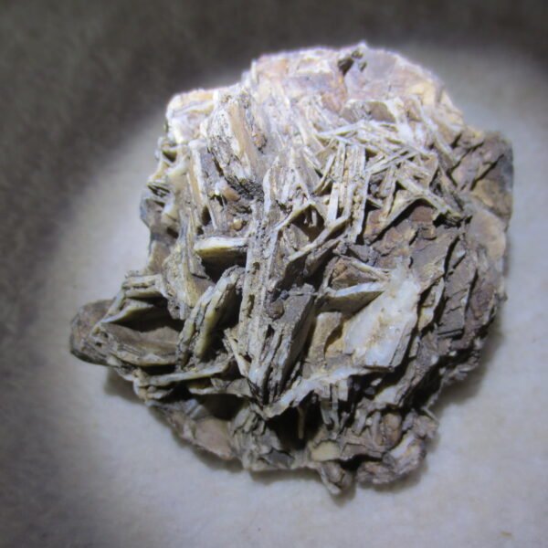 natural gobi skeleton stone (ji gu stone), boxwork ventifact, desert viewing stone (u25） (copy)