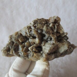 natural gobi skeleton stone (ji gu stone), boxwork ventifact, desert viewing stone (u27）