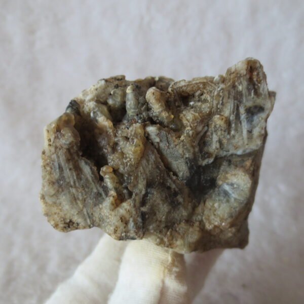 natural gobi skeleton stone (ji gu stone), boxwork ventifact, desert viewing stone (u27）