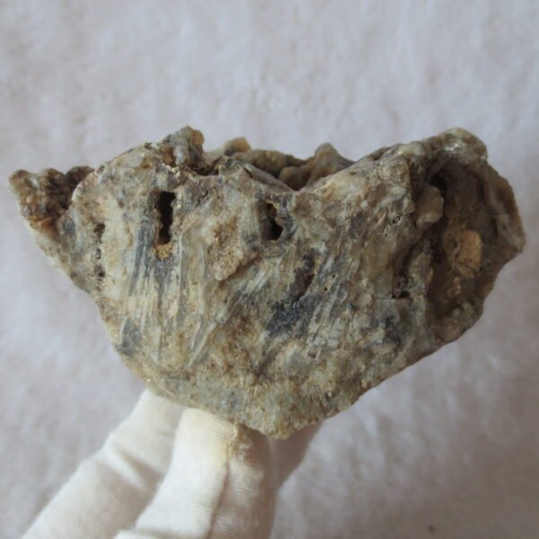 natural gobi skeleton stone (ji gu stone), boxwork ventifact, desert viewing stone (u27）