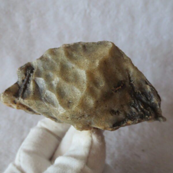 natural gobi skeleton stone (ji gu stone), boxwork ventifact, desert viewing stone (u27）