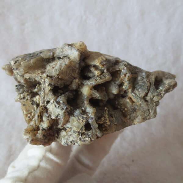 natural gobi skeleton stone (ji gu stone), boxwork ventifact, desert viewing stone (u27）
