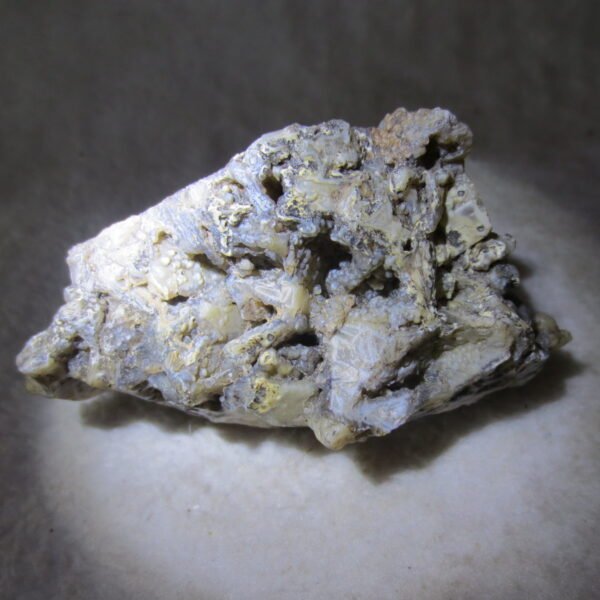 natural gobi skeleton stone (ji gu stone), boxwork ventifact, desert viewing stone (u27）