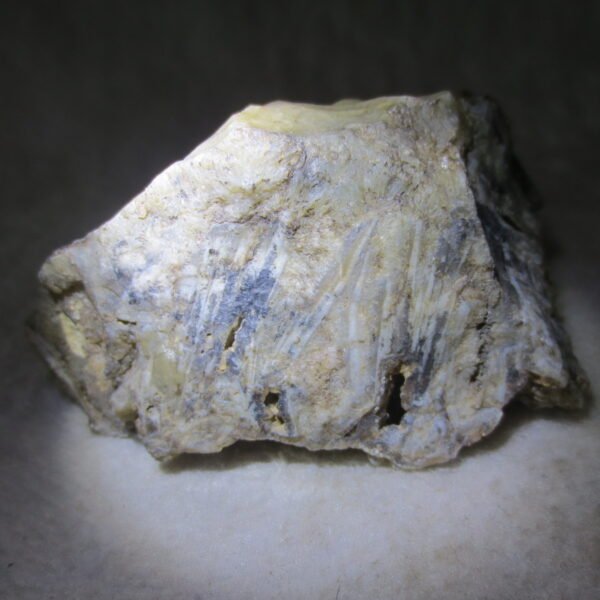 natural gobi skeleton stone (ji gu stone), boxwork ventifact, desert viewing stone (u27）