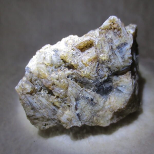 natural gobi skeleton stone (ji gu stone), boxwork ventifact, desert viewing stone (u27）