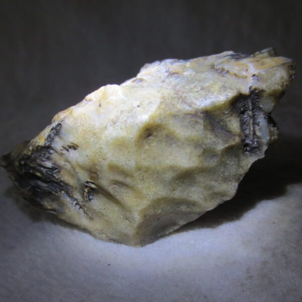 natural gobi skeleton stone (ji gu stone), boxwork ventifact, desert viewing stone (u27）