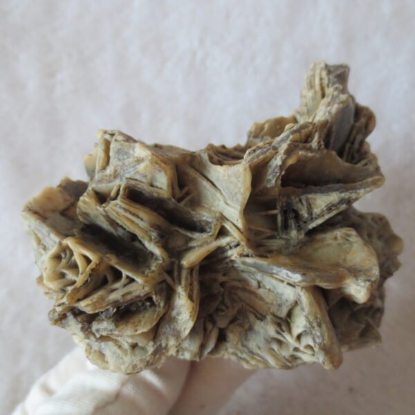 natural gobi skeleton stone (ji gu stone), boxwork ventifact, desert viewing stone (u27） (copy)