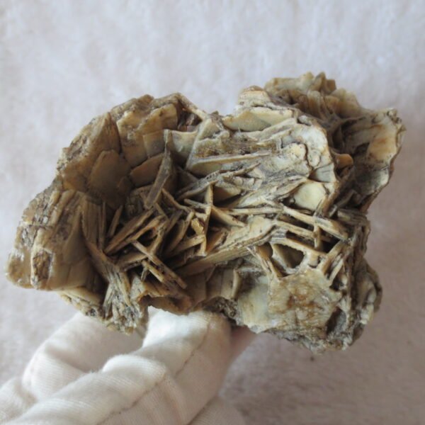 natural gobi skeleton stone (ji gu stone), boxwork ventifact, desert viewing stone (u27） (copy)