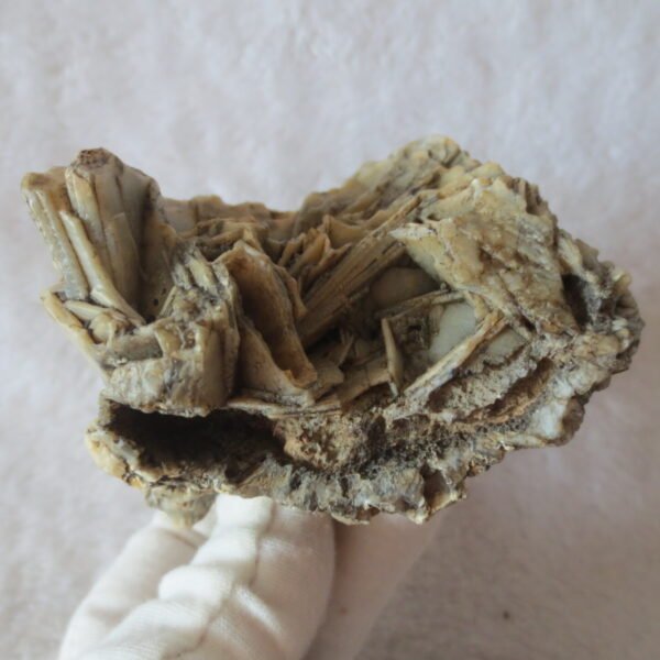 natural gobi skeleton stone (ji gu stone), boxwork ventifact, desert viewing stone (u27） (copy)