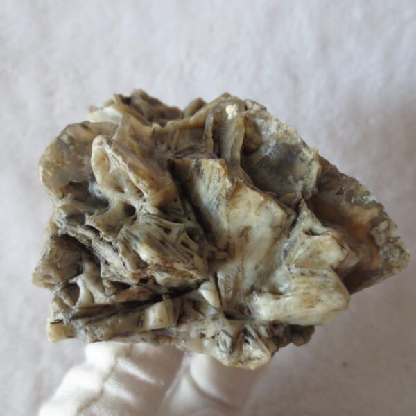 natural gobi skeleton stone (ji gu stone), boxwork ventifact, desert viewing stone (u27） (copy)