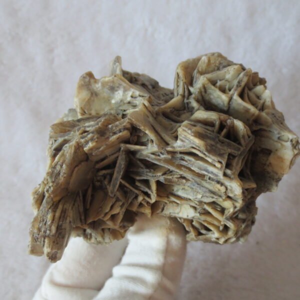natural gobi skeleton stone (ji gu stone), boxwork ventifact, desert viewing stone (u27） (copy)