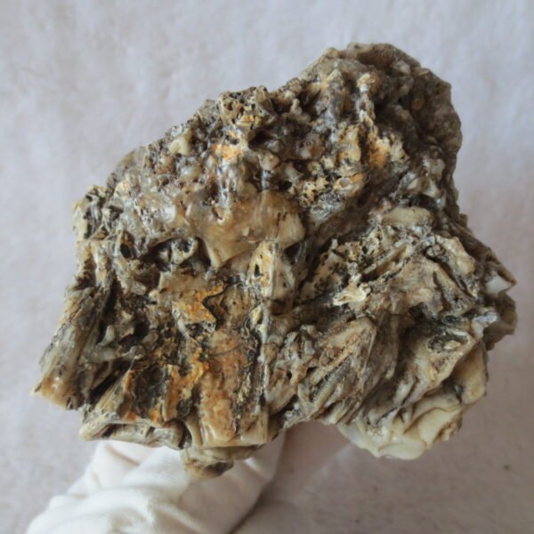 natural gobi skeleton stone (ji gu stone), boxwork ventifact, desert viewing stone (u27） (copy)