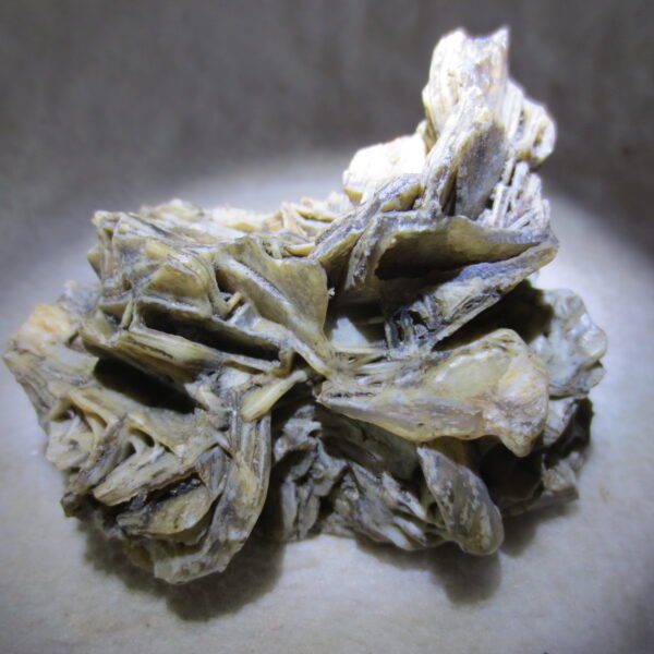 natural gobi skeleton stone (ji gu stone), boxwork ventifact, desert viewing stone (u27） (copy)