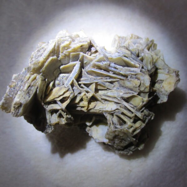 natural gobi skeleton stone (ji gu stone), boxwork ventifact, desert viewing stone (u27） (copy)
