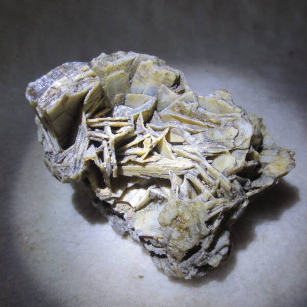 natural gobi skeleton stone (ji gu stone), boxwork ventifact, desert viewing stone (u27） (copy)