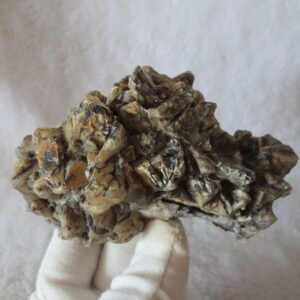 natural gobi skeleton stone (ji gu stone), boxwork ventifact, desert viewing stone (u29）
