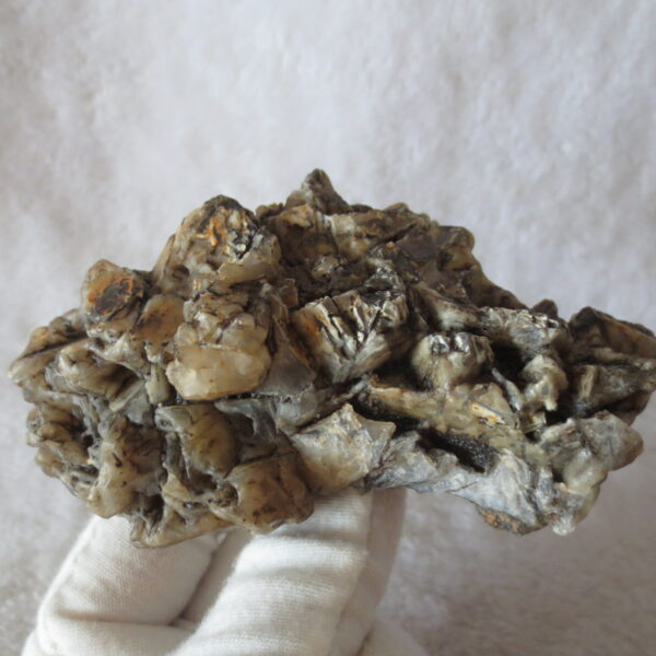 natural gobi skeleton stone (ji gu stone), boxwork ventifact, desert viewing stone (u29)