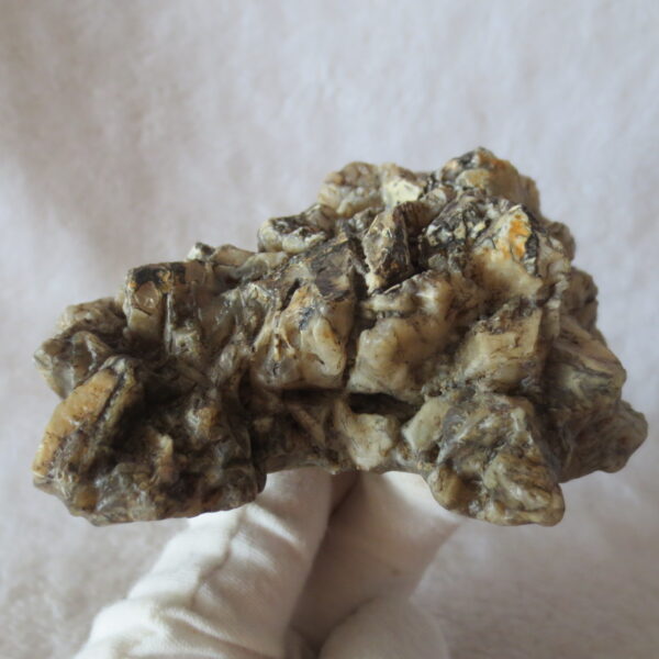 natural gobi skeleton stone (ji gu stone), boxwork ventifact, desert viewing stone (u29)