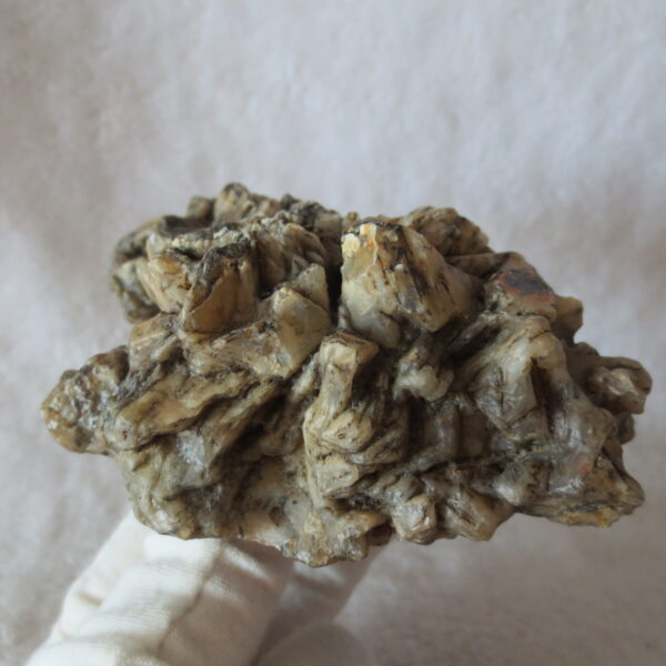 natural gobi skeleton stone (ji gu stone), boxwork ventifact, desert viewing stone (u29)
