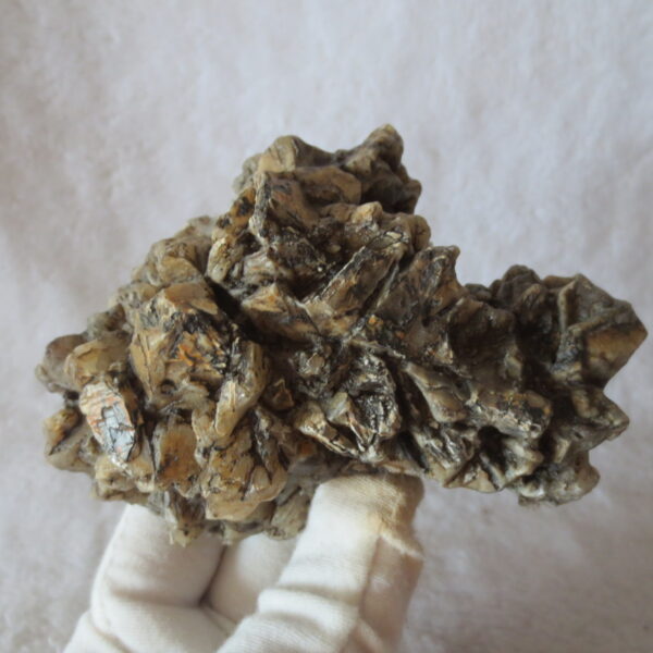natural gobi skeleton stone (ji gu stone), boxwork ventifact, desert viewing stone (u29)
