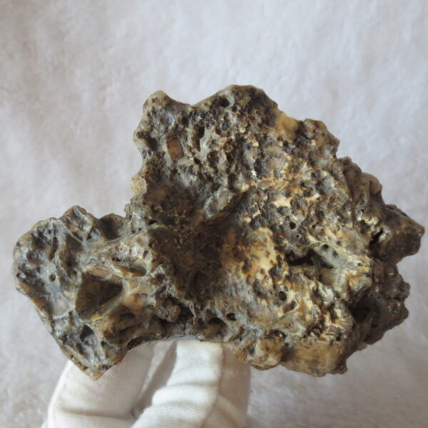 natural gobi skeleton stone (ji gu stone), boxwork ventifact, desert viewing stone (u29)