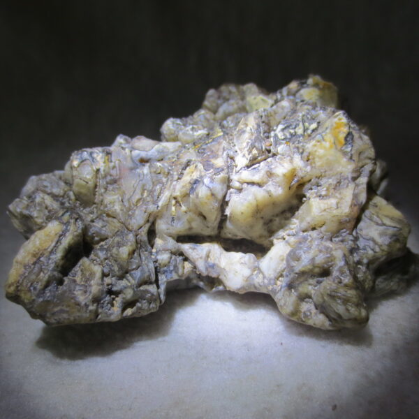 natural gobi skeleton stone (ji gu stone), boxwork ventifact, desert viewing stone (u29)