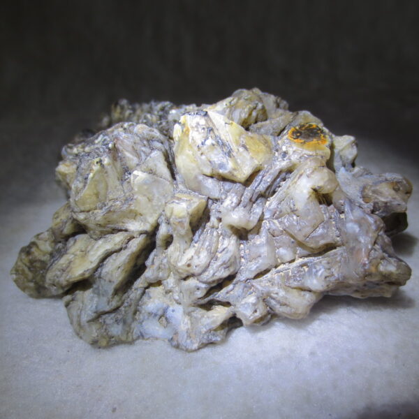 natural gobi skeleton stone (ji gu stone), boxwork ventifact, desert viewing stone (u29)