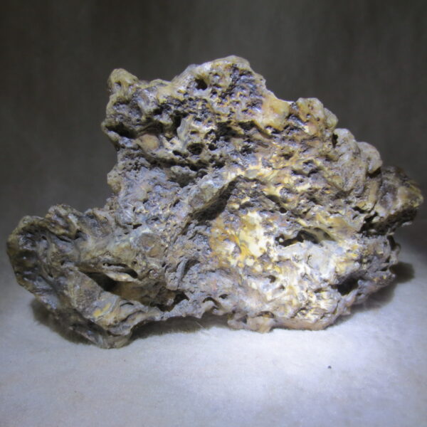 natural gobi skeleton stone (ji gu stone), boxwork ventifact, desert viewing stone (u29)