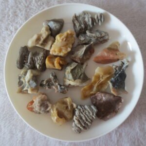 gobi desert raw rough stones natural mountain gobi rocks specimen for collectors (p53)