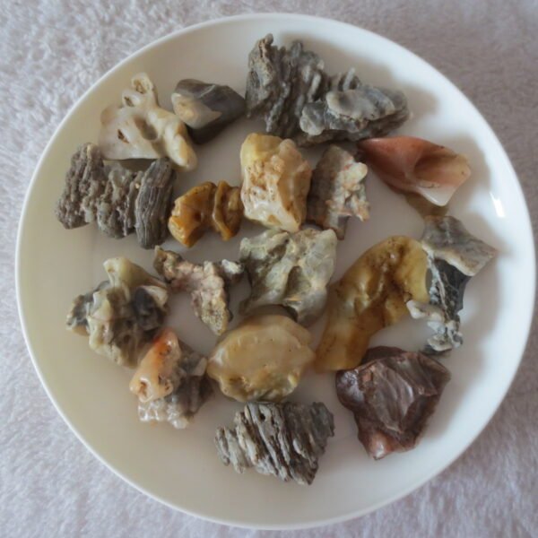 gobi desert raw rough stones natural mountain gobi rocks specimen for collectors (p53)