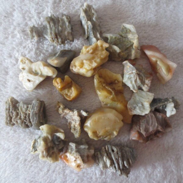 gobi desert raw rough stones natural mountain gobi rocks specimen for collectors (p53)