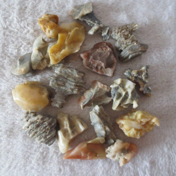 gobi desert raw rough stones natural mountain gobi rocks specimen for collectors (p53)