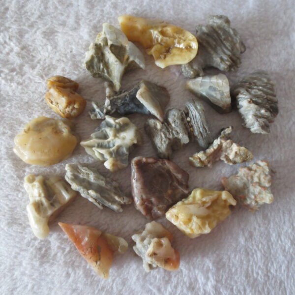 gobi desert raw rough stones natural mountain gobi rocks specimen for collectors (p53)