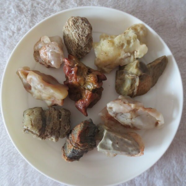 gobi desert raw rough stones natural mountain gobi rocks specimen for table decor. (p54)