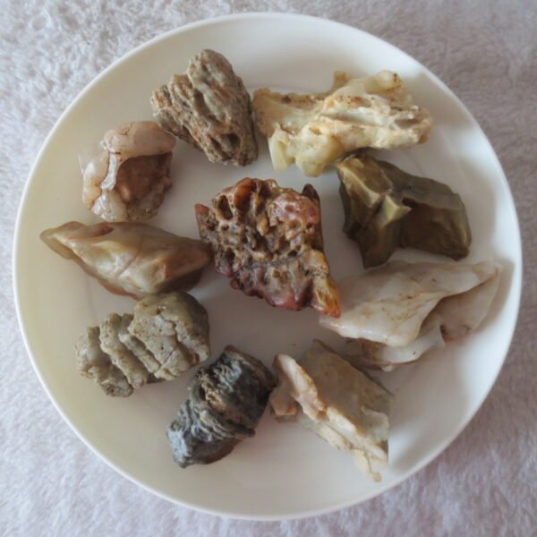 gobi desert raw rough stones natural mountain gobi rocks specimen for table decor. (p54)